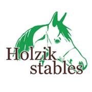 Holzikstables, Enschede openingstijden