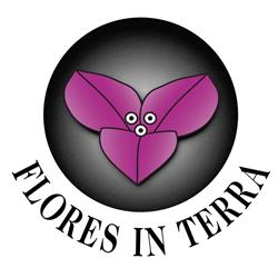 Flores in Terra BV, Melderslo openingstijden