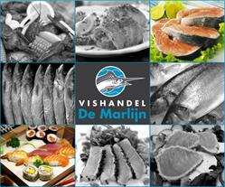 Vishandel De Marlijn, Renesse openingstijden