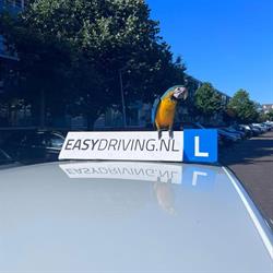 Rijschool Easydriving Den Haag, openingstijden