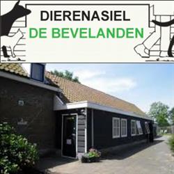 Dierenasiel De Bevelanden, Goes openingstijden