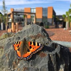 Den Hollandsche Gedenktekens - Grafmonumenten & Grafstenen, Wezep openingstijden
