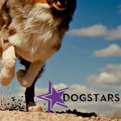 DogStars Hondenschool, Alphen aan den Rijn openingstijden