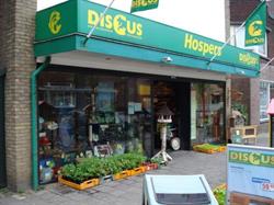 Discus Hospers, Borne openingstijden