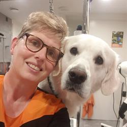 donga-dogs, Munstergeleen openingstijden