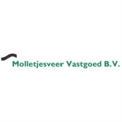 Molletjesveer Vastgoed BV, Wormerveer openingstijden