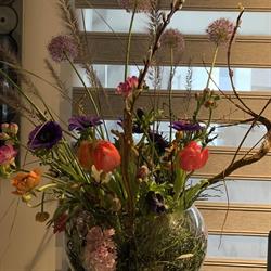 Leliveld Bloemen, Maastricht openingstijden