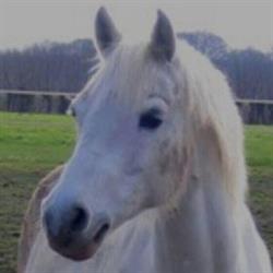 Cadier en Keer Manege, openingstijden