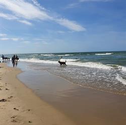 Bungalowverhuur De Onderneming, Callantsoog openingstijden