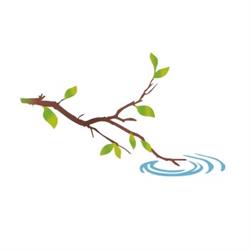 Natuurbegraafplaats Hillig Meer, Eext openingstijden
