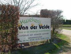 Kwekerij Van der Velde, Heerde openingstijden