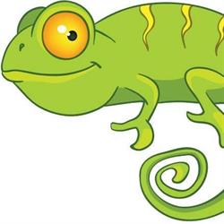 Kindcentrum de Kameleon Stichting Welluswijs, Hardenberg openingstijden