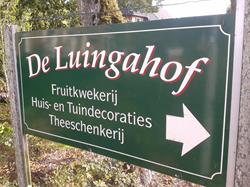 Luingahof Groenten En Fruit, Bierum openingstijden