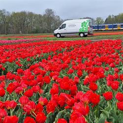 Hoveniersbedrijf Joël Breedveld, Assen openingstijden