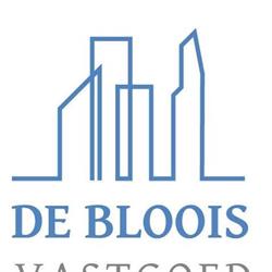 De Bloois Vastgoed, Delft openingstijden