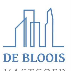 De Bloois Vastgoed, Delft openingstijden