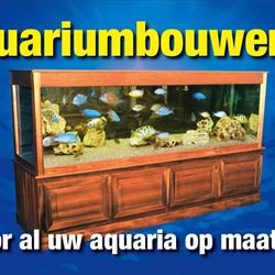 aquariumbouwer, IJmuiden openingstijden