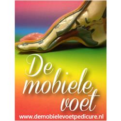 De Mobiele Voet Pedicurepraktijk, 's-Gravenhage openingstijden