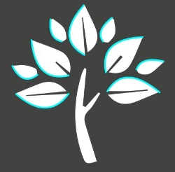 Student Consultancy Group, Groningen openingstijden