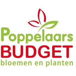 Poppelaars Tuincentrum, Breda openingstijden