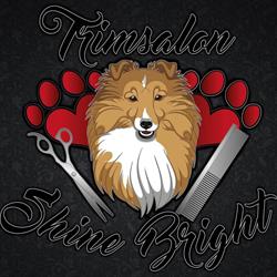 Trimsalon Shine Bright, Goes openingstijden