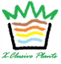 X-Clusive Plants, Nieuw-Vennep openingstijden