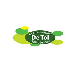 Bloemen- en plantenkwekerij de Tol, Noordgouwe openingstijden