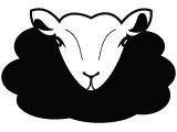 Studio Het Zwarte Schaap, Tilburg openingstijden
