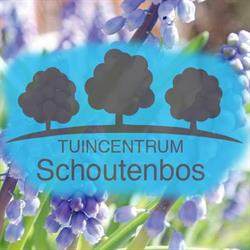 tuincentrum Schoutenbos, Warmenhuizen openingstijden