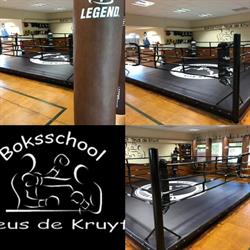 Boksschool Teus de Kruyf & Teus De Kruyf Institute, Alphen aan den Rijn openingstijden