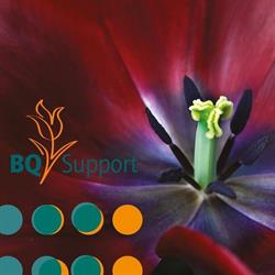 Bulb Quality Support B.V., Lisse openingstijden