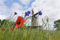 Stichting De Windhond, Soest openingstijden