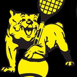 Tennisvereniging De Dog, Uitgeest openingstijden