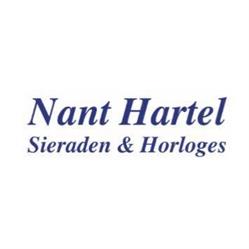 Juwelier, Horloger, edelsmid-Nant Hartel, Wilnis openingstijden