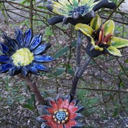 Stichting Kreatieve Kring Westervoort, openingstijden
