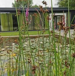Begraafplaats Duinrust, Beverwijk openingstijden