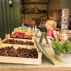 Slagmaat, Bunnik openingstijden