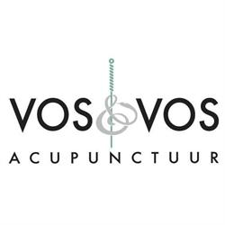 Praktijk Fysiotherapie & Acupunctuur, R. Vos, Den Ilp openingstijden