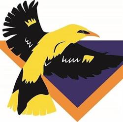 Wielewaal Scouting Groep, Eindhoven openingstijden