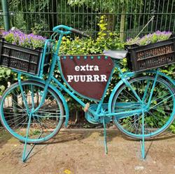 extra PUURRR locatie Speeltuin Voortsweg, Enschede openingstijden