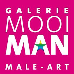 Galerie Mooiman, Groningen openingstijden