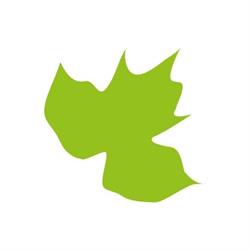 Greenmax Vh Deeproot Europe, Heeswijk-Dinther openingstijden