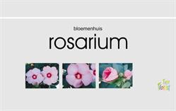 Bloemenhuis Rosarium, Krommenie openingstijden