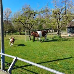 Kinderboerderij Merenwijk, Leiden openingstijden