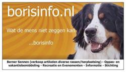 Borisinfo.nl, Lisse openingstijden