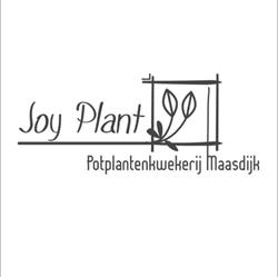 Joy Plant, Maasdijk openingstijden