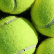 Nieuw Lekkerlandse Tennis Club Nltc, Nieuw-Lekkerland openingstijden