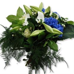 Bloemenzee Nieuw Vennep Bloemen, Nieuw-Vennep openingstijden
