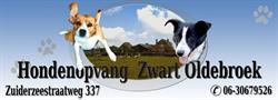 Zwart Hondenopvang, Oldebroek openingstijden