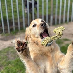 Dierenhotel Emergo, Oude Pekela openingstijden